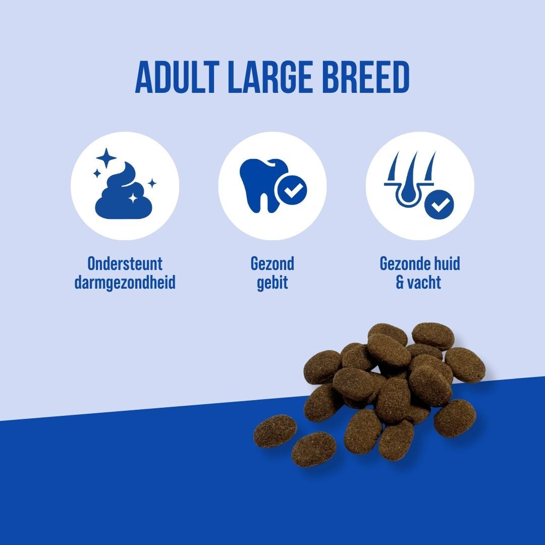 Adult Large Krokant - Rund | 18KG