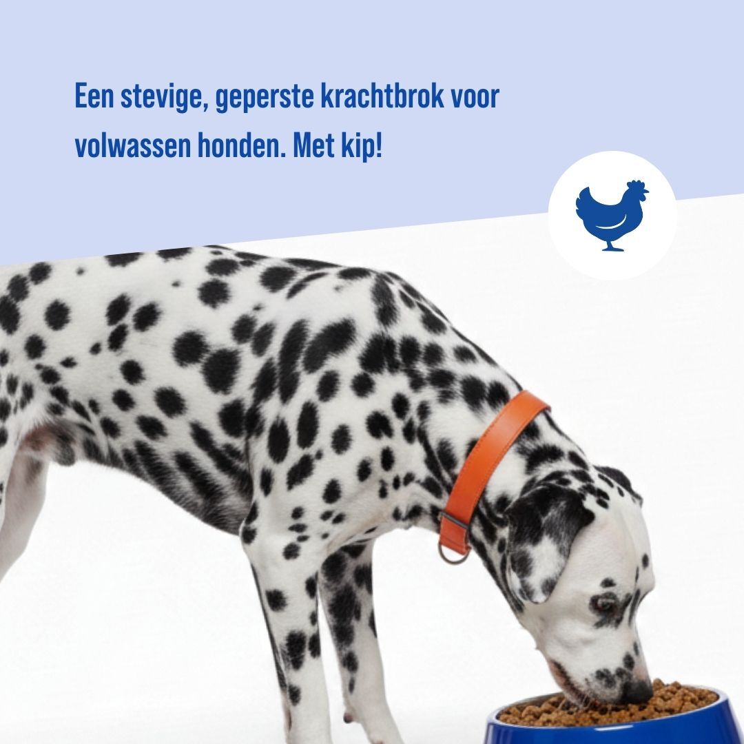 Adult Large Krokant - Rund | 18KG