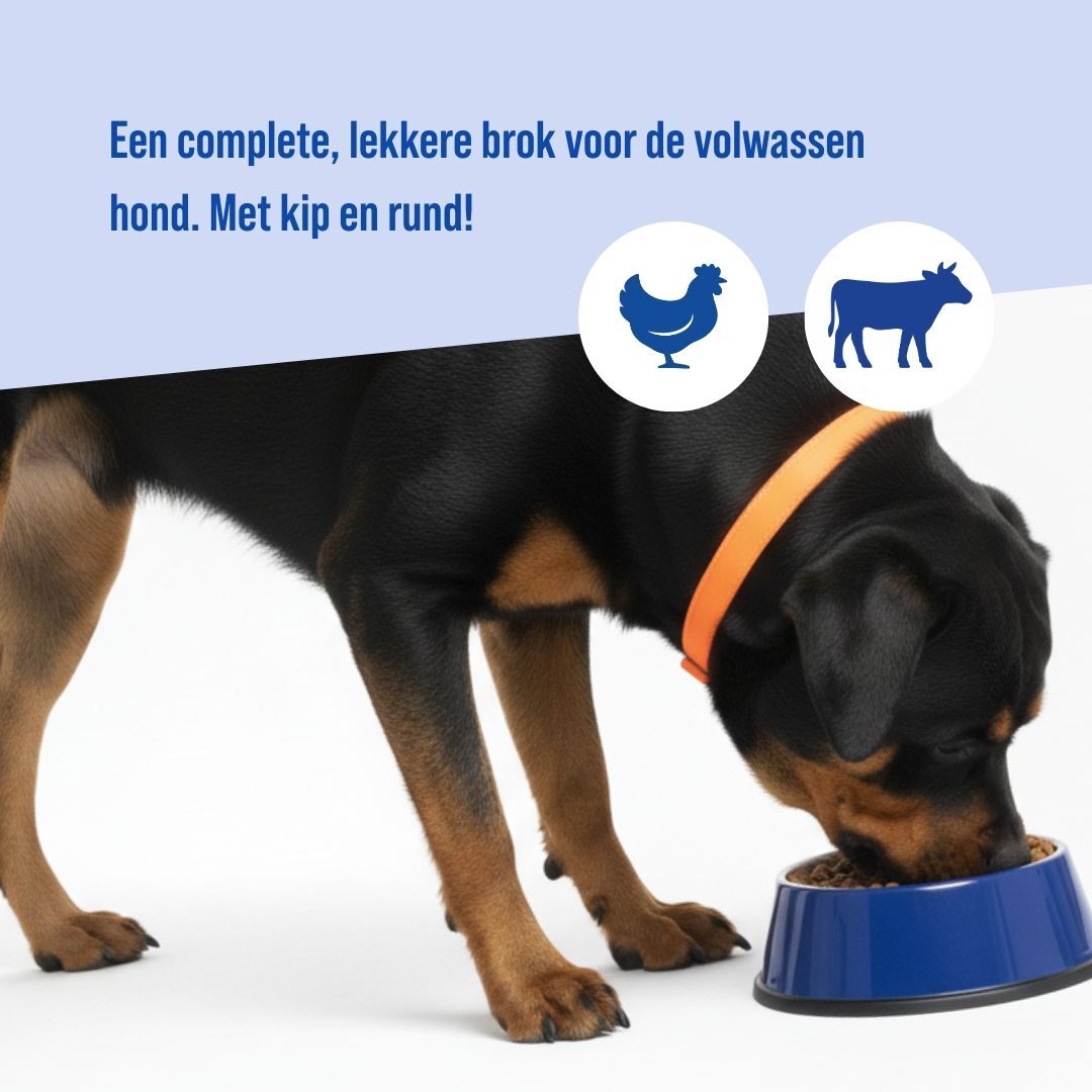 Adult Geperst | 20kg