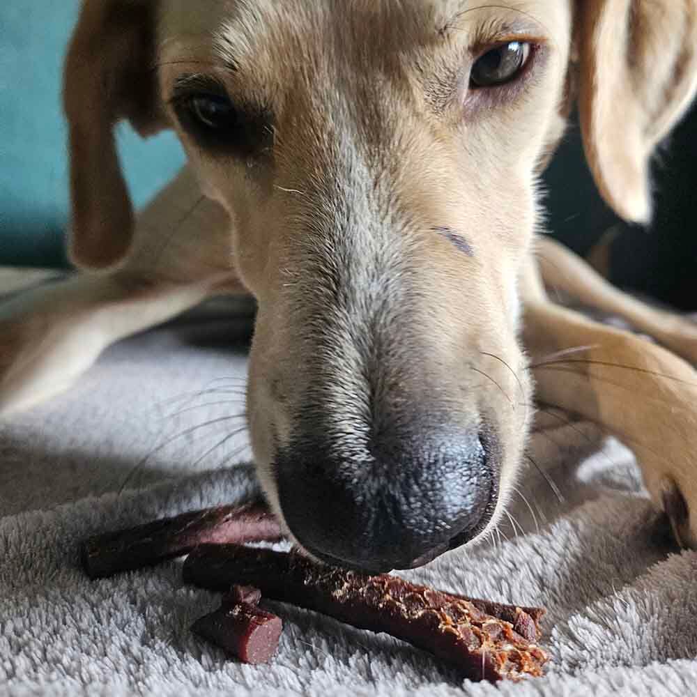 Lamb Sticks