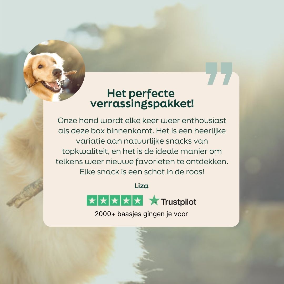 hond, snack voor hond, snackdoos, trustpilot, recensie badge