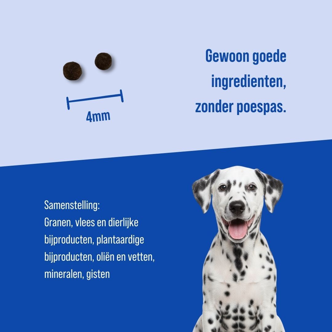 Puppy | 18kg