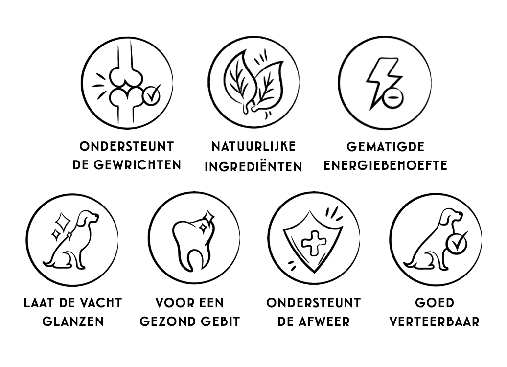 Light krokant | 18KG