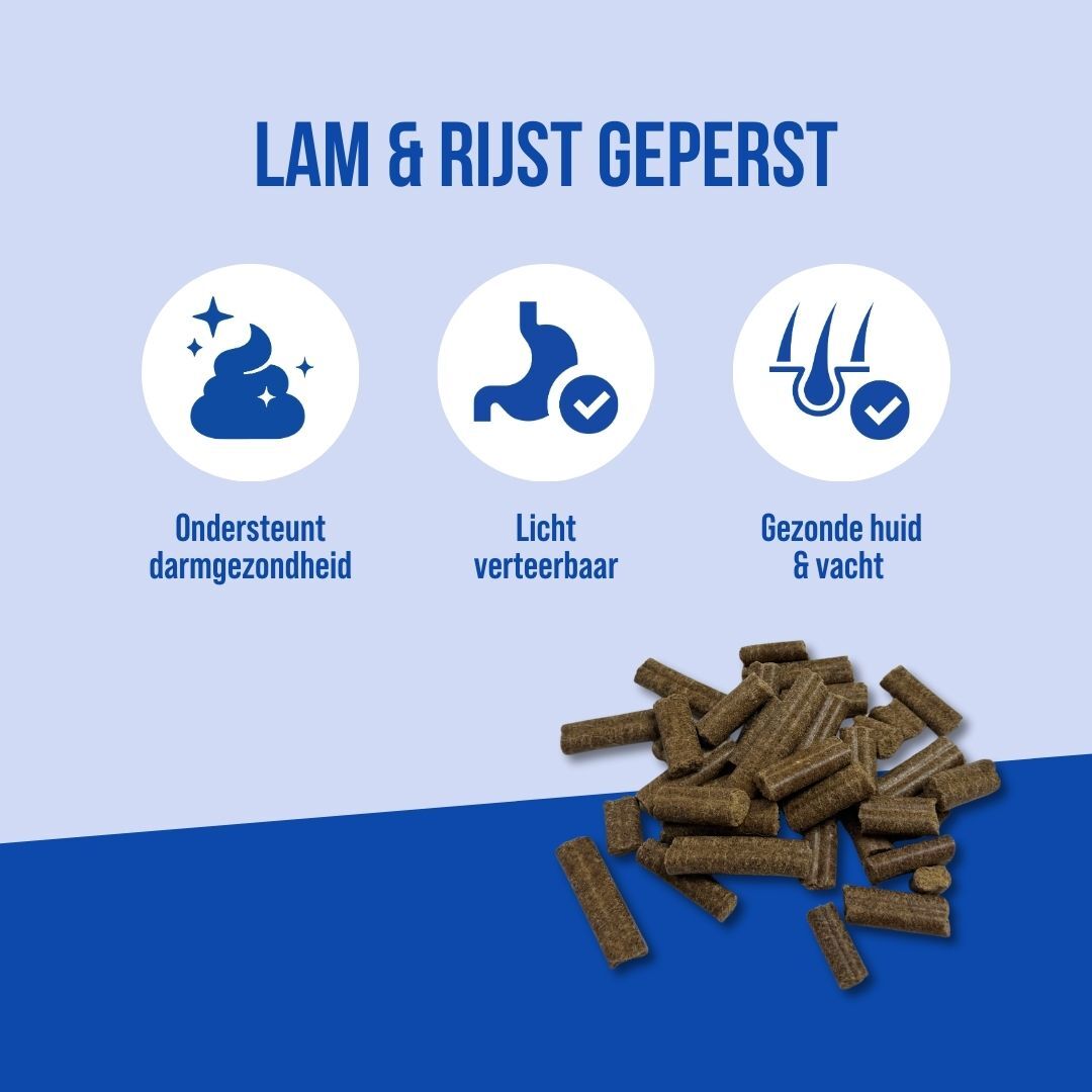 Adult Lam & Rijst Geperst | 18kg