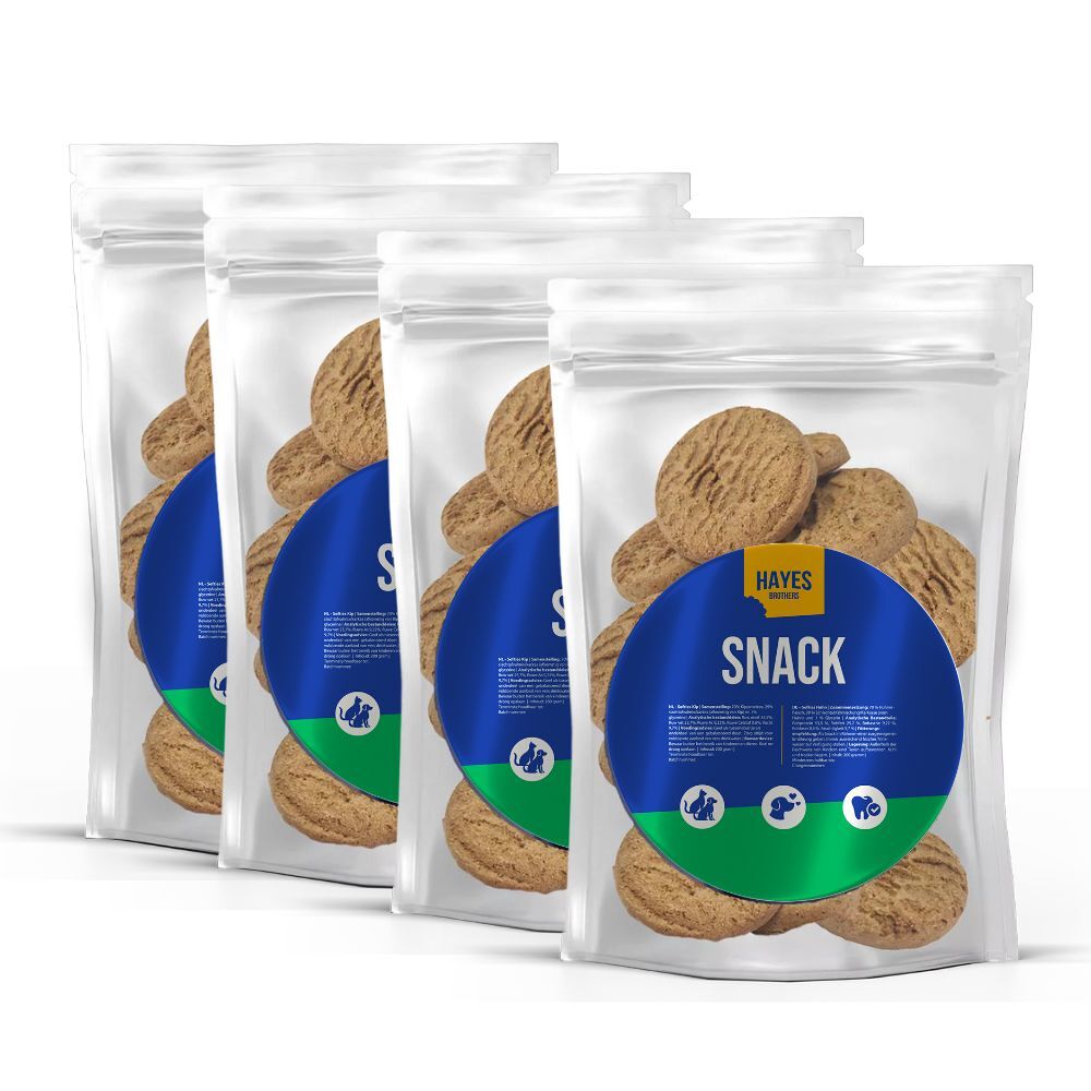 Large koekjes Hayes Brothers snack grote koeken multipack van 4