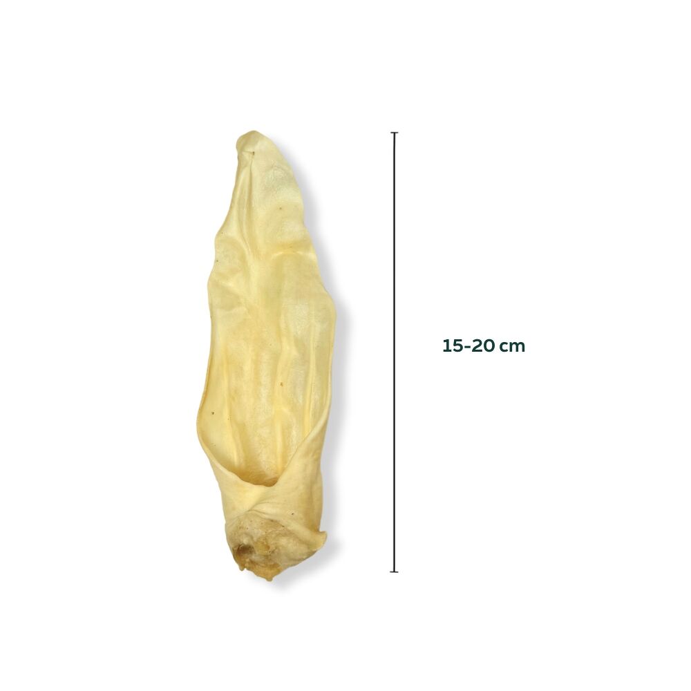 Geitenoren geitenoor 15-20 cm