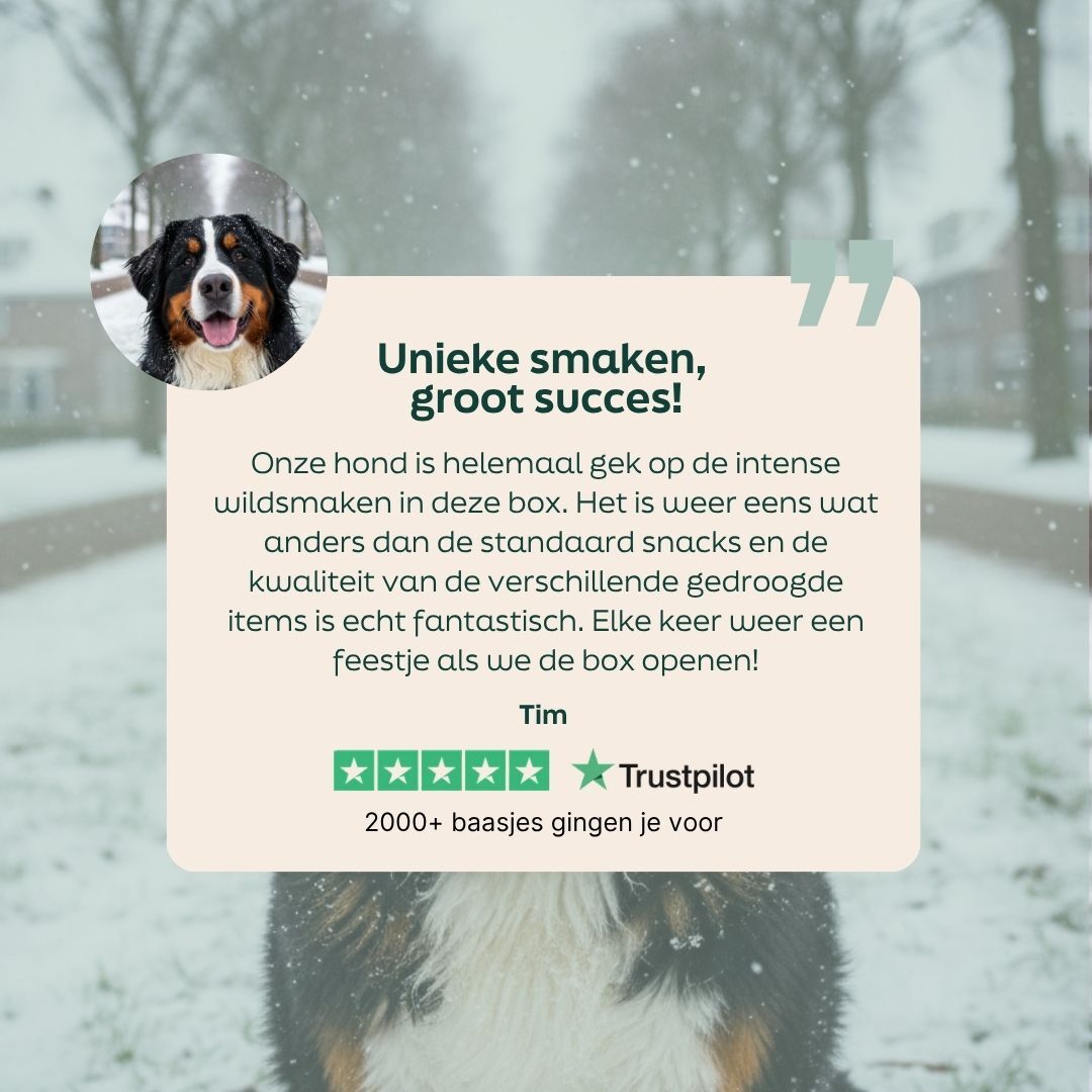 hond, dog treat, snack, Trustpilot, recensies