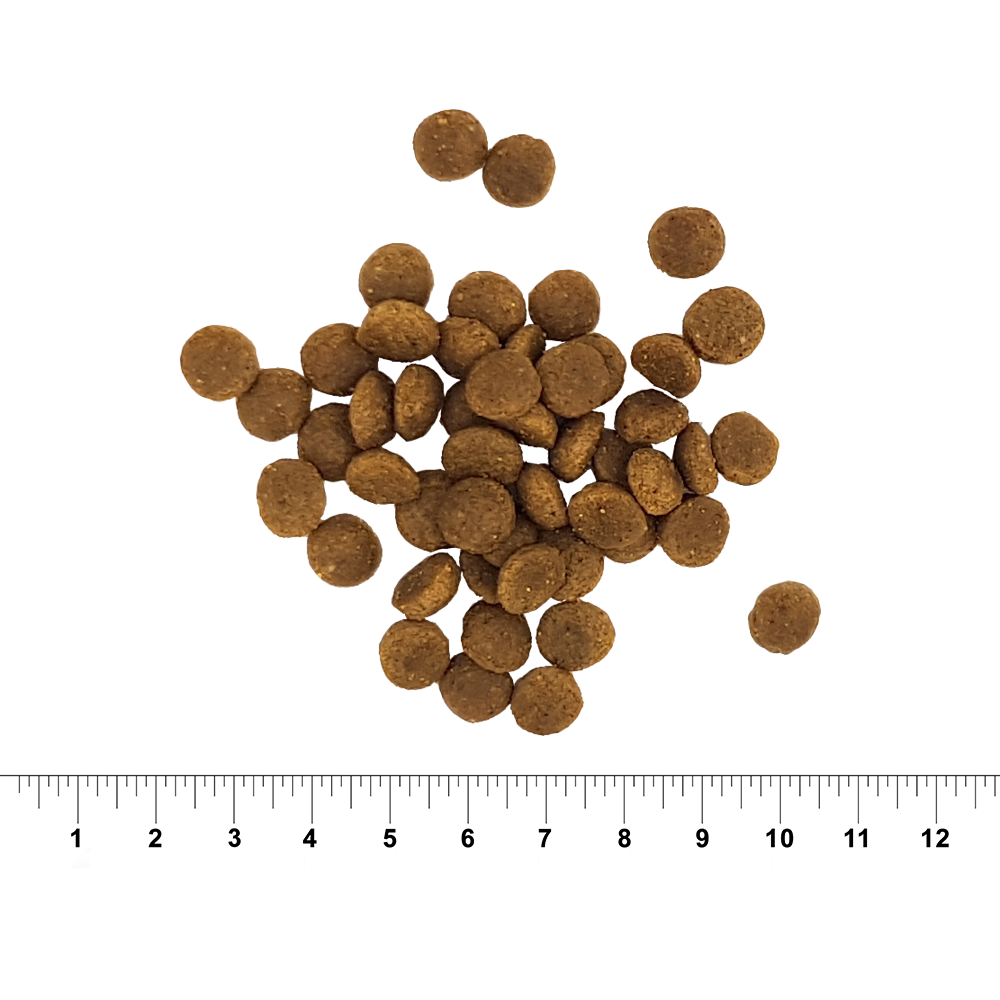 Puppy Krokant | 14kg