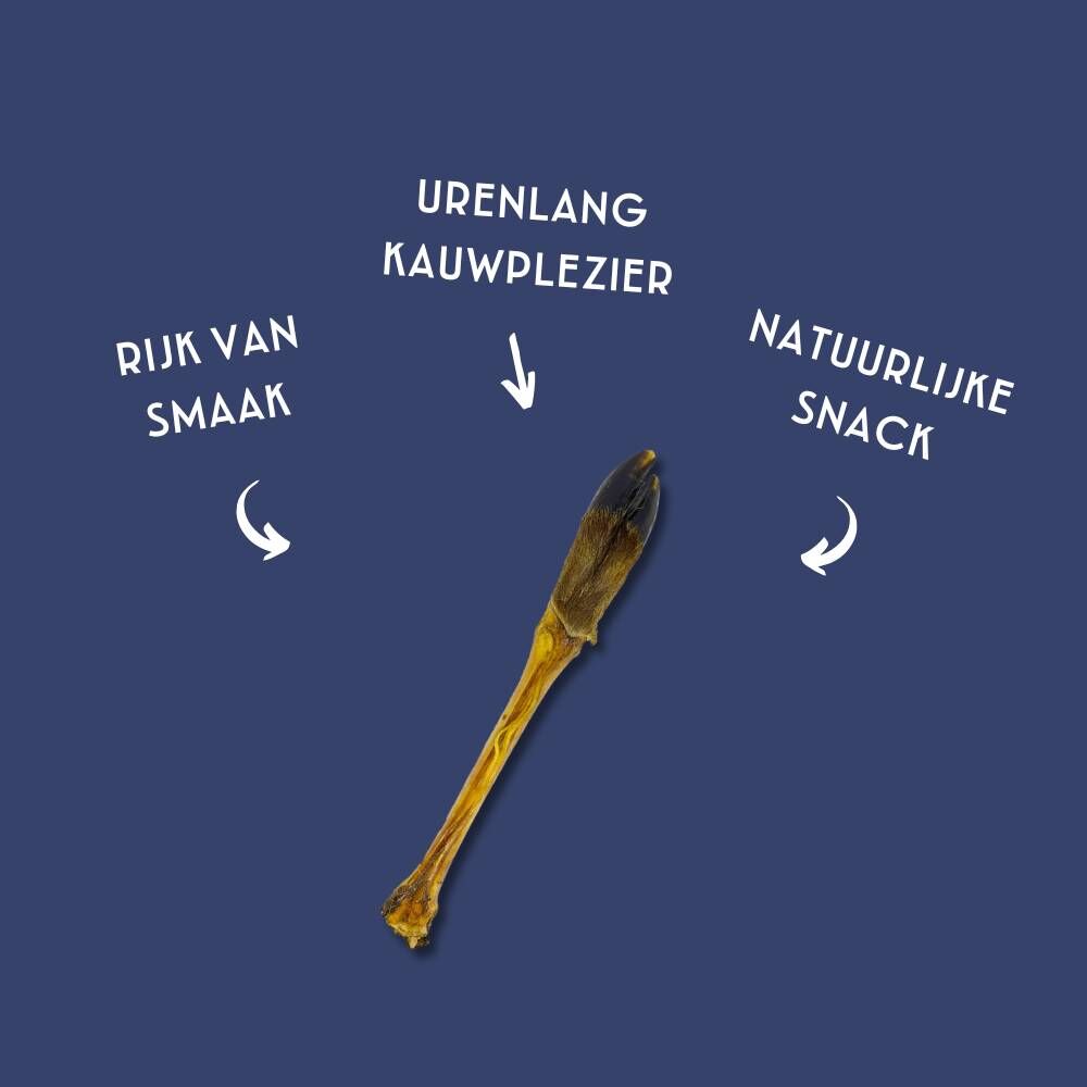 voordelen van hertenppot