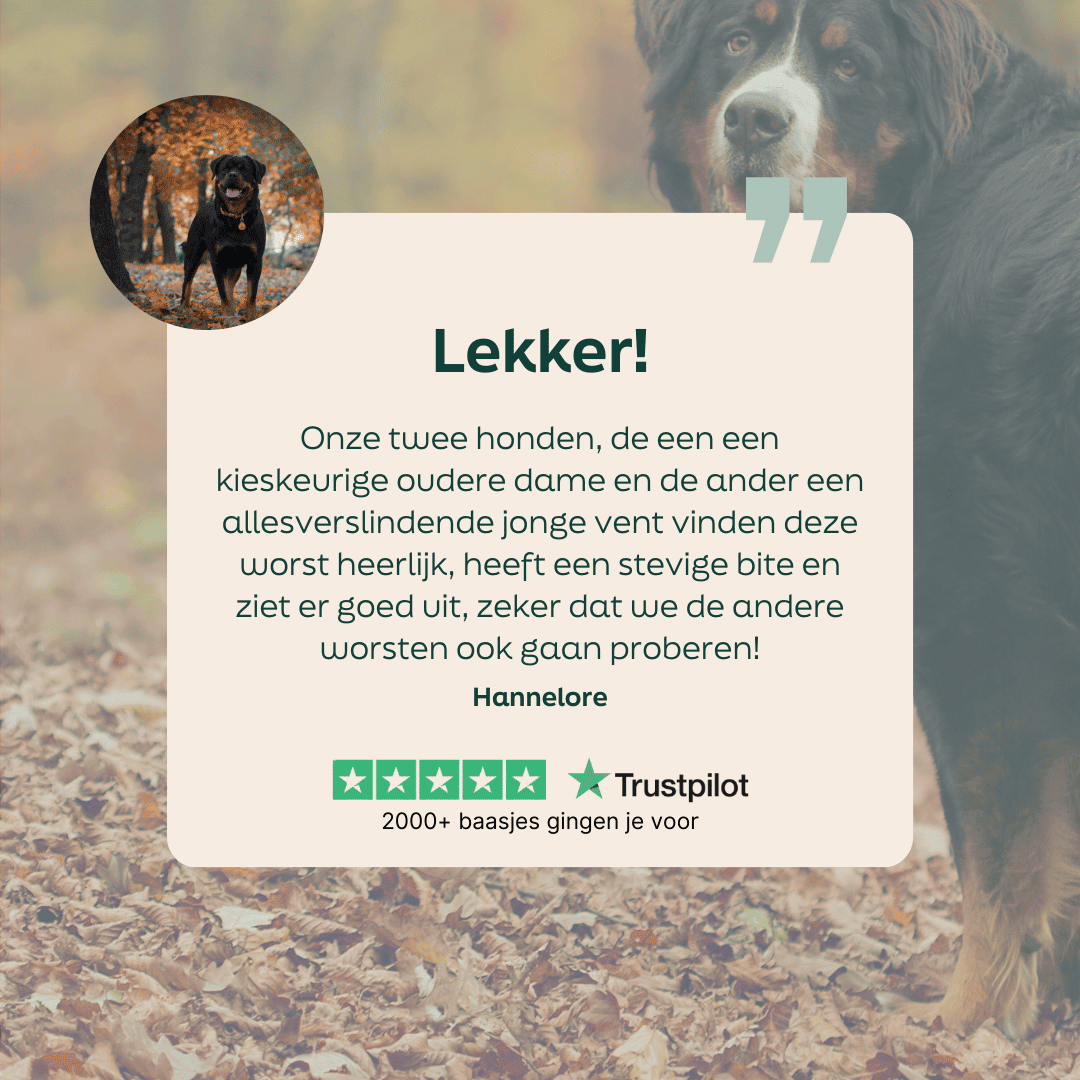 5 sterren review over WOOOF kip worst vers