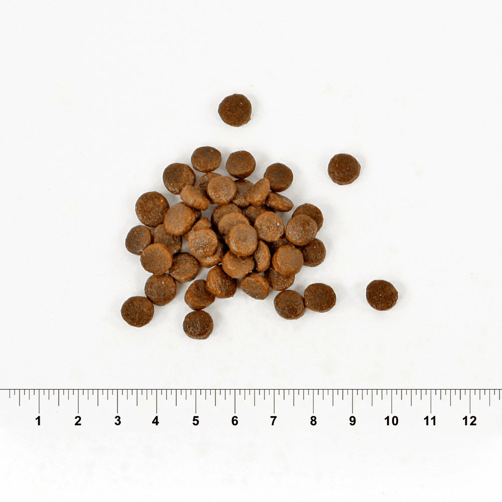 Graanvrij | 5kg