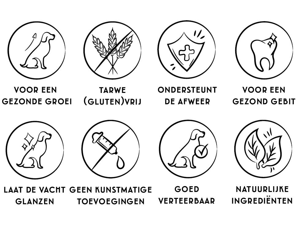 Puppy Krokant | 14kg