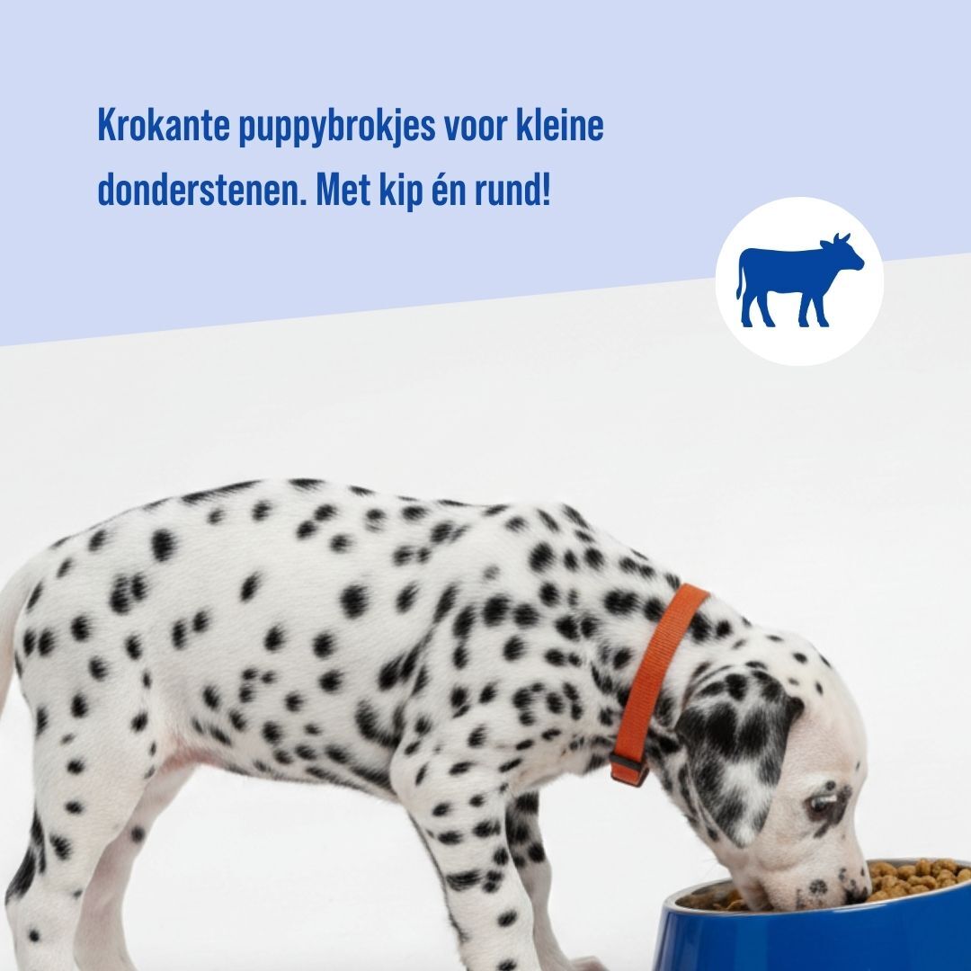 Puppy | 18kg