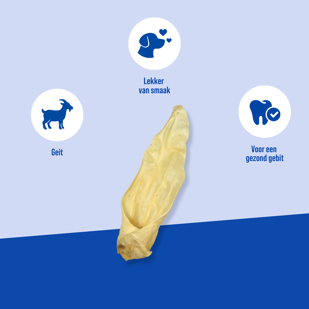 Geitenoren De voordelen van Hayes Brothers snack geitenoren
