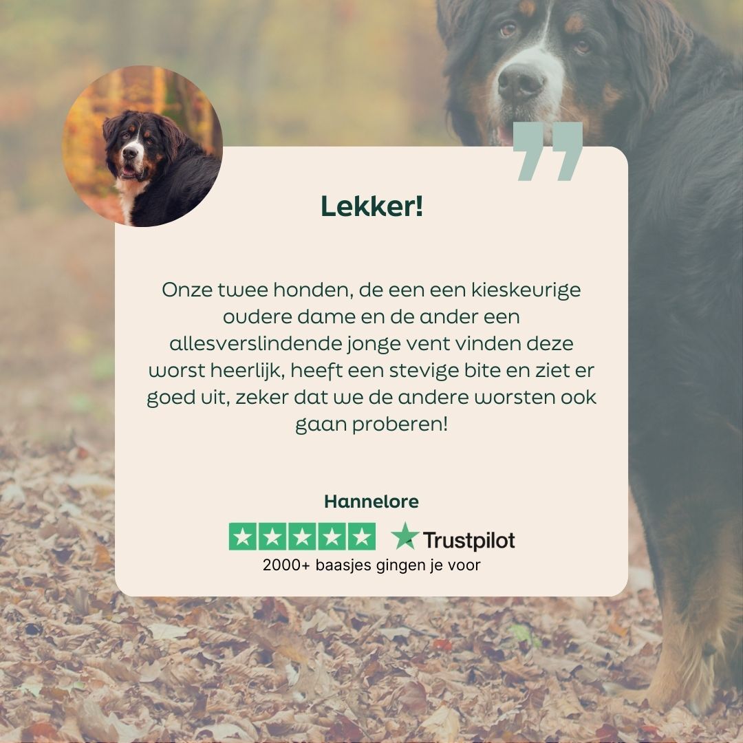 hond, bruin, natuur, buiten, rond beeld