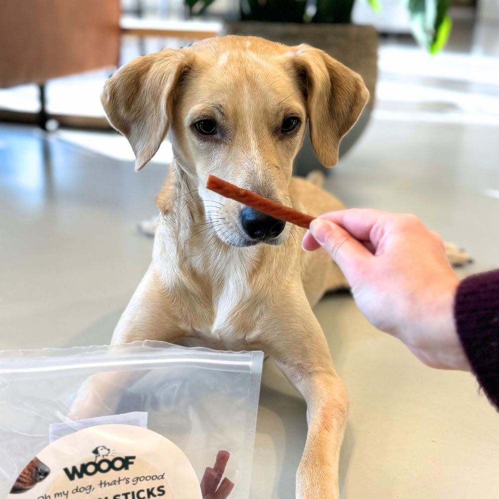 WOOOF Rabbitsticks - smaaktest met kantoorhond Arlo