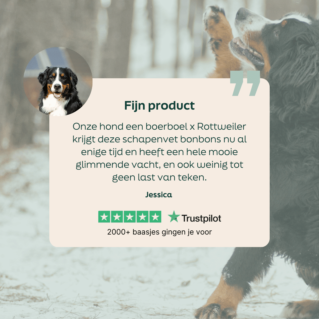 Schapenvet met knoflook - bites 5 sterren review over WOOOF schapenvet met knoflook