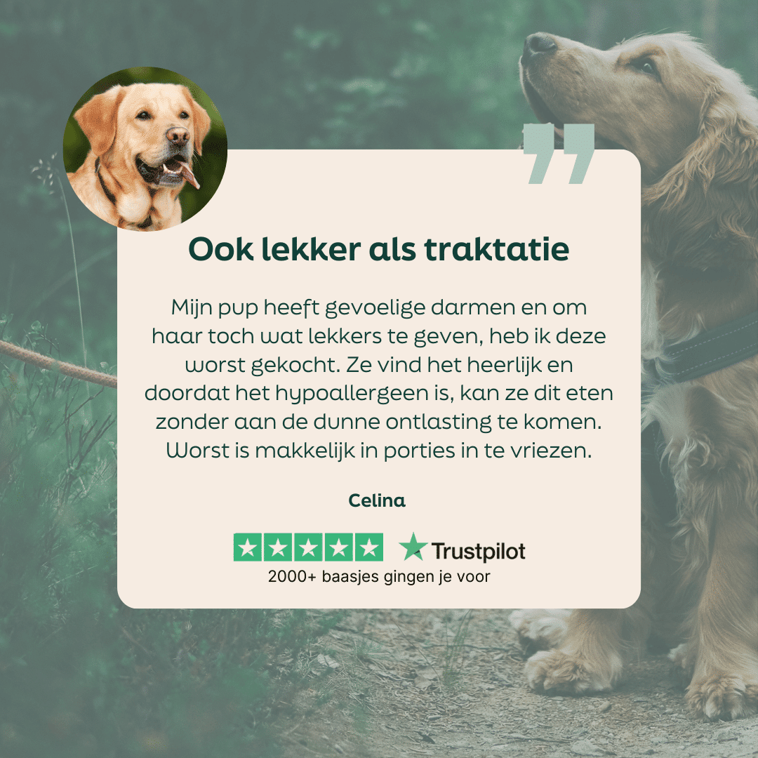 5 sterren review over WOOOF lam worst vers