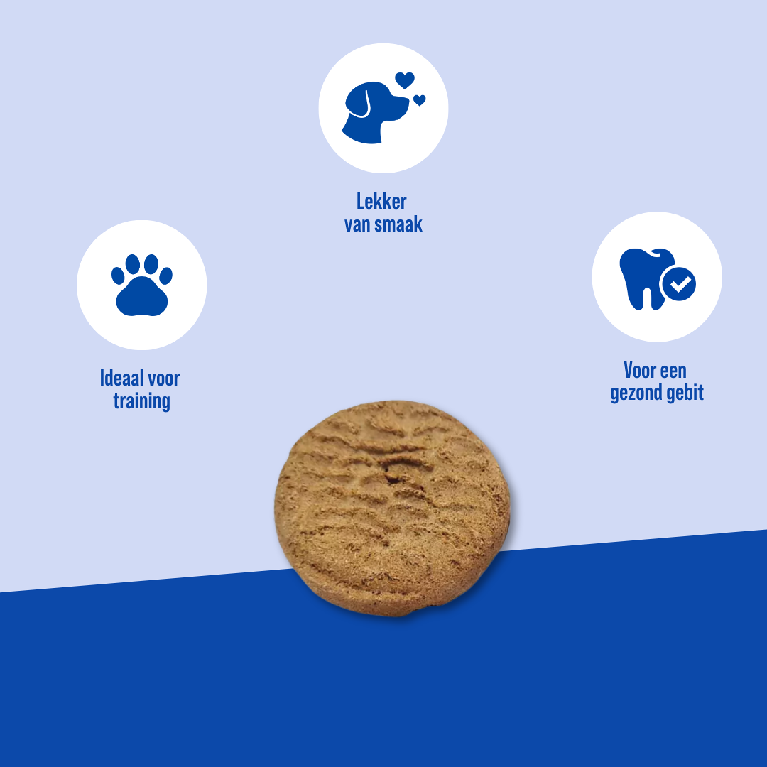 Large koekjes De voordelen van Hayes Brothers snack Koek groot