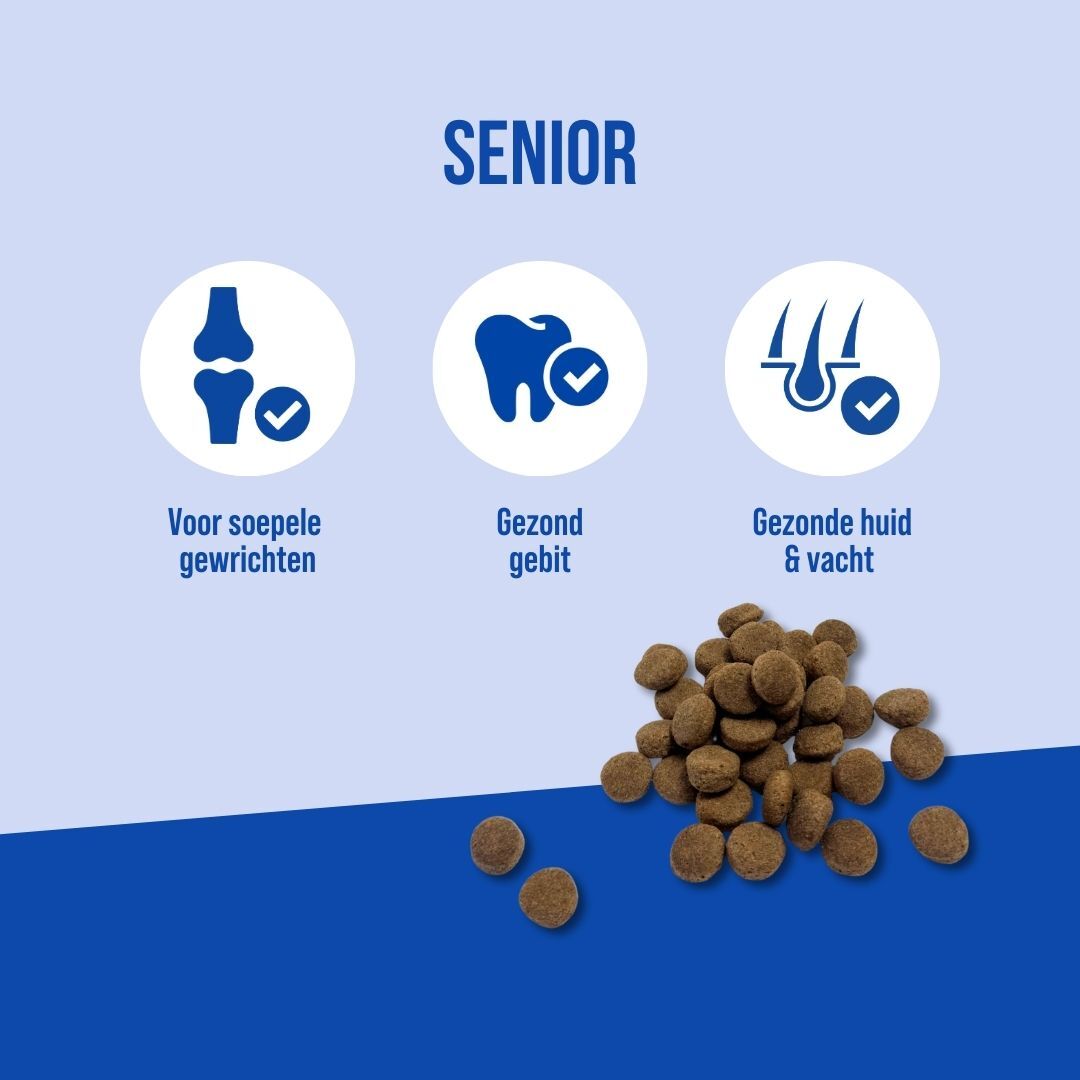 Senior | 18kg