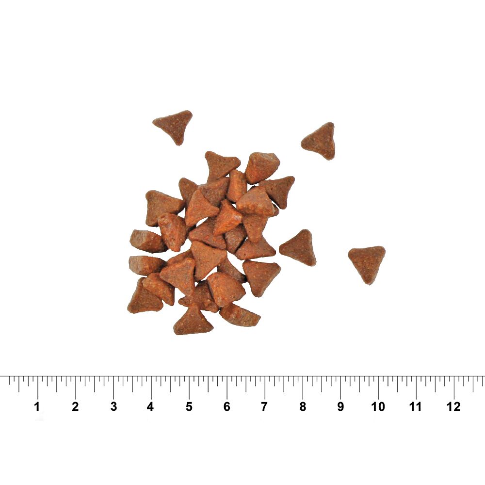 Indoor | 5kg Indoor | 5kg