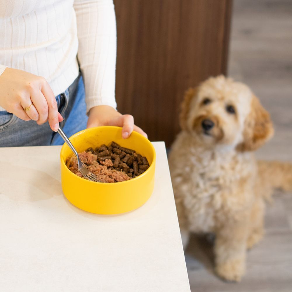 WOOOF Kip en rund Worstenpakket WOOOF Kip en rund Worstenpakket