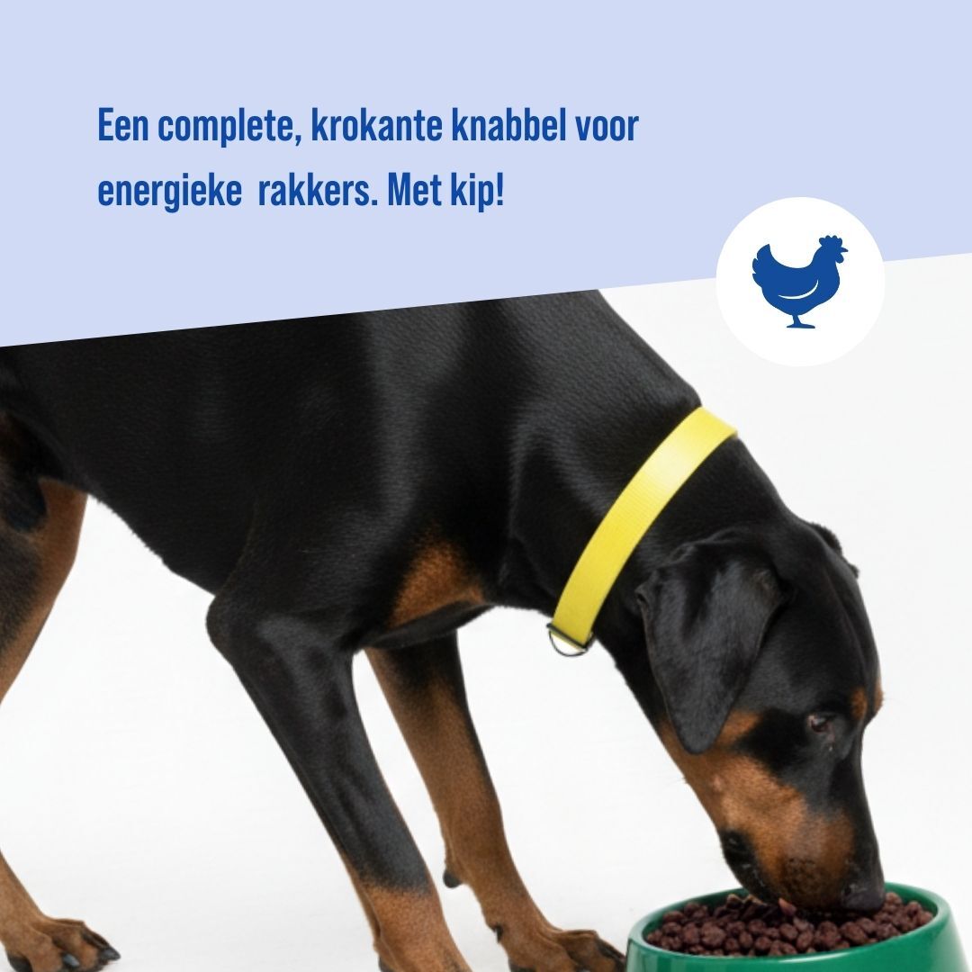 High-Energy krokant hondenvoer | 18kg