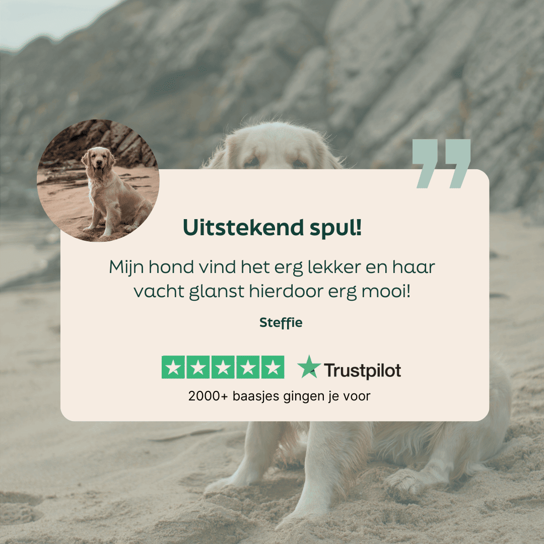 5 sterren review over WOOOF schapenvet
