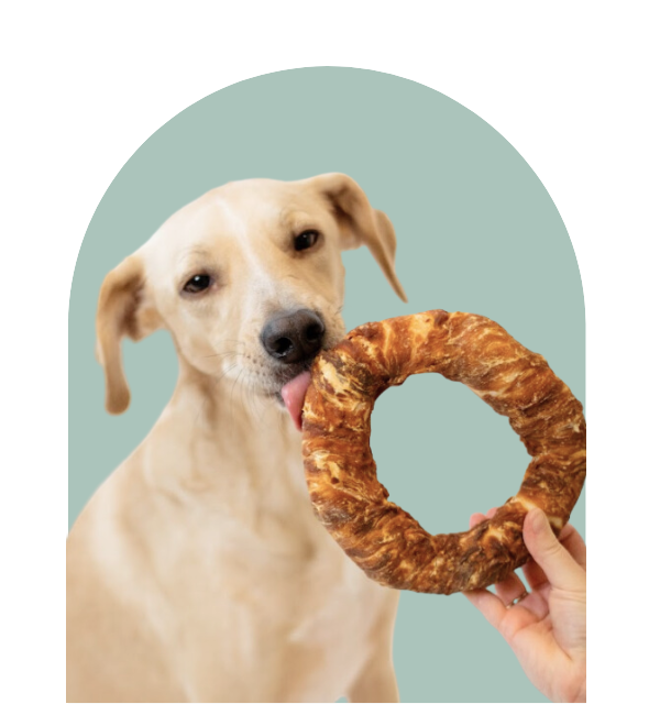 Wooof snacks voor honden -