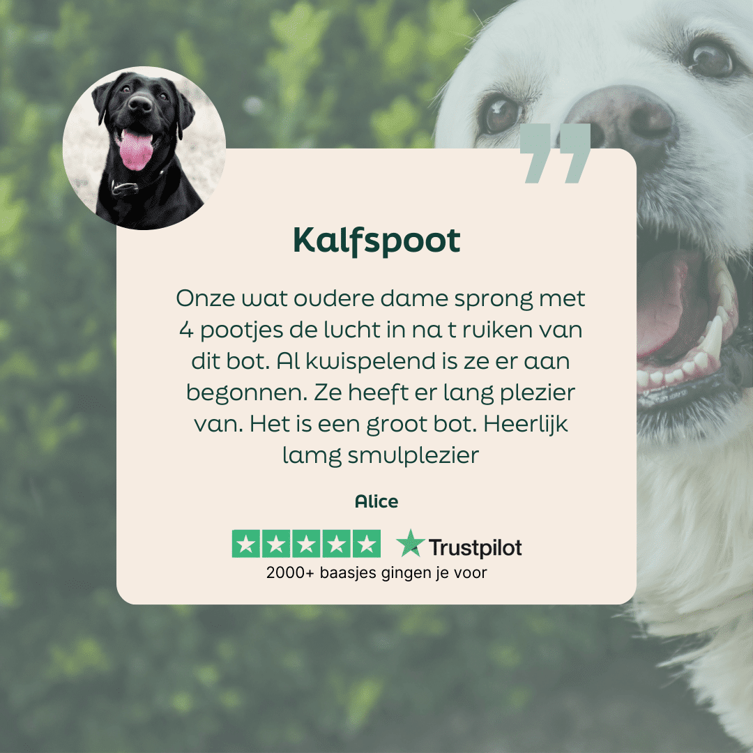 5 sterren review over WOOOF kalfspoot