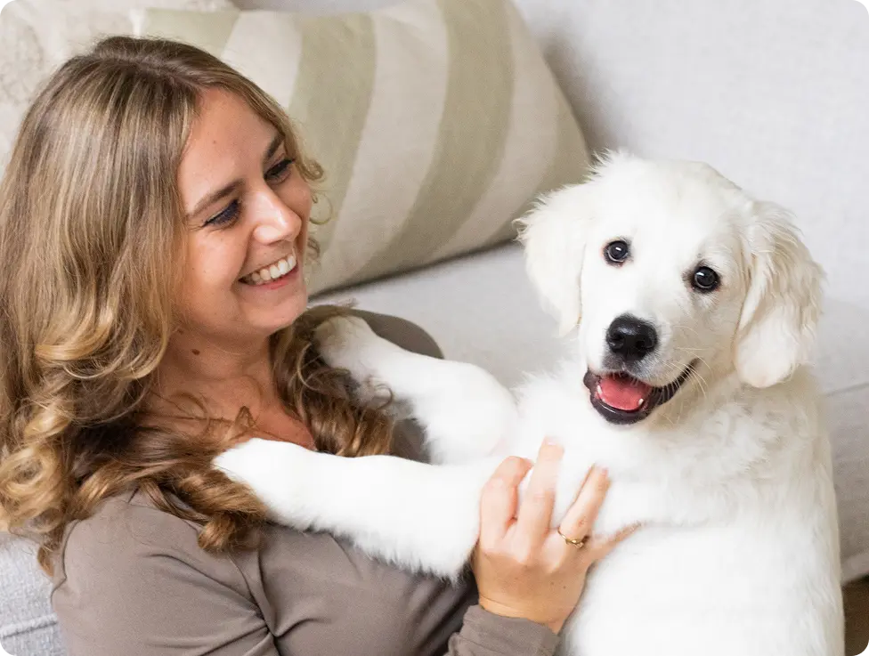 blije puppy met wooof puppyvbrokken