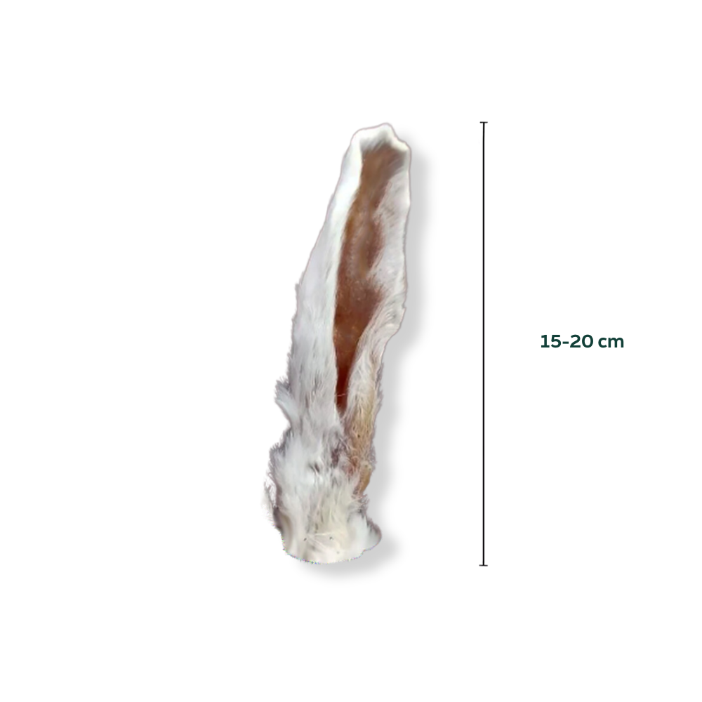 konijnenoor 15-20cm