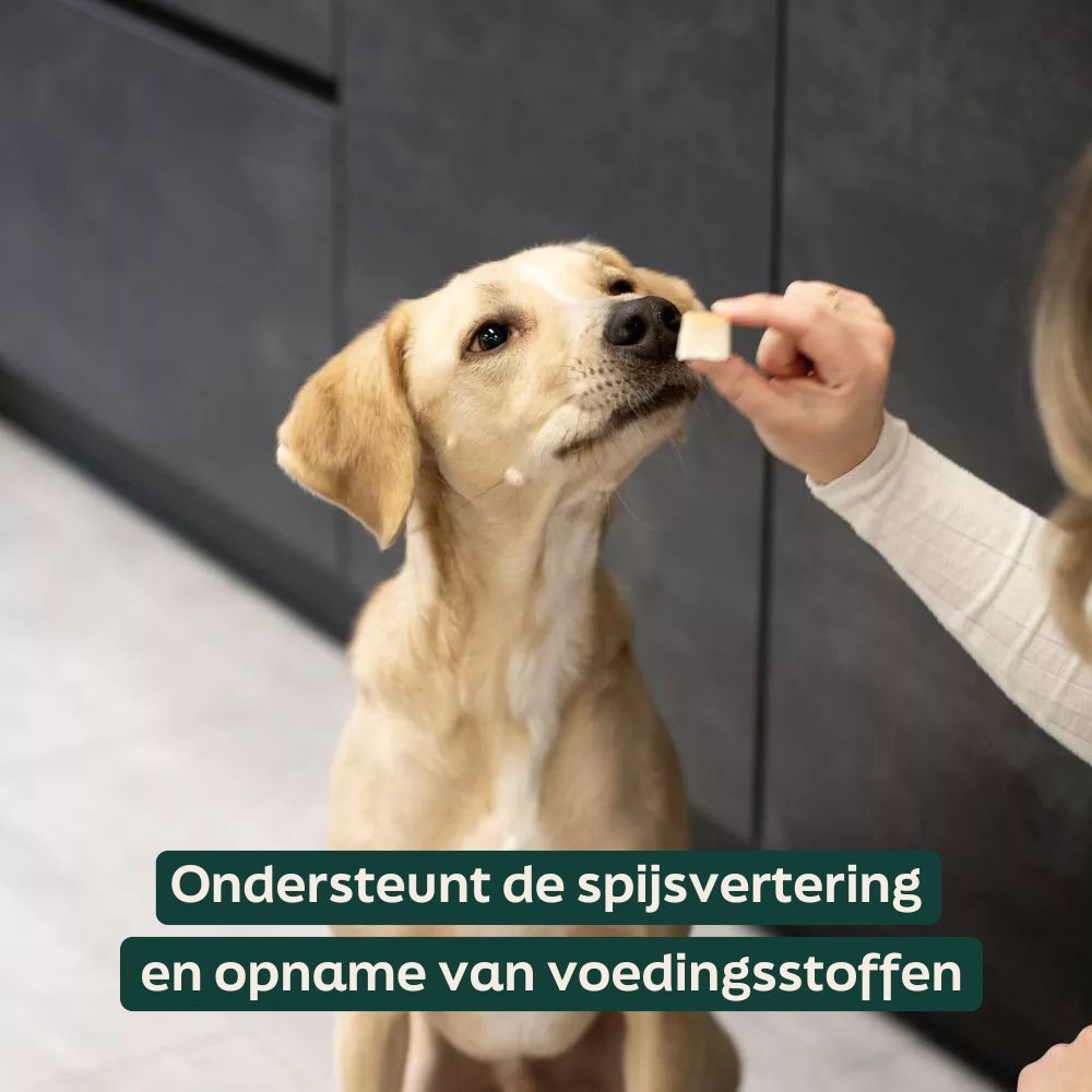 Schapenvet puur bites proeven