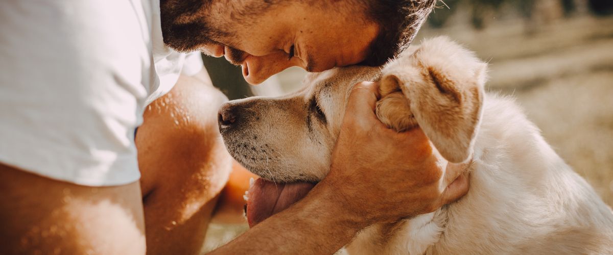 Man en hond aan het knuffelen