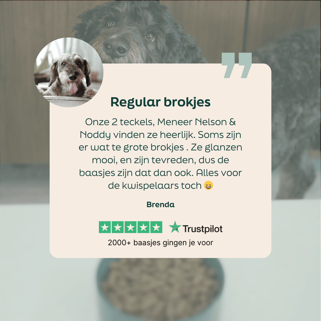 5 sterren review over WOOOF regular