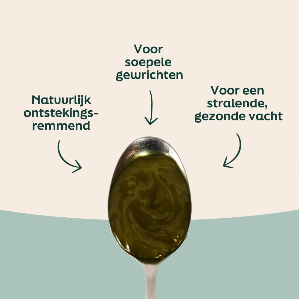 Voordelen van WOOOF hennepzaad olie voor een stralende vacht