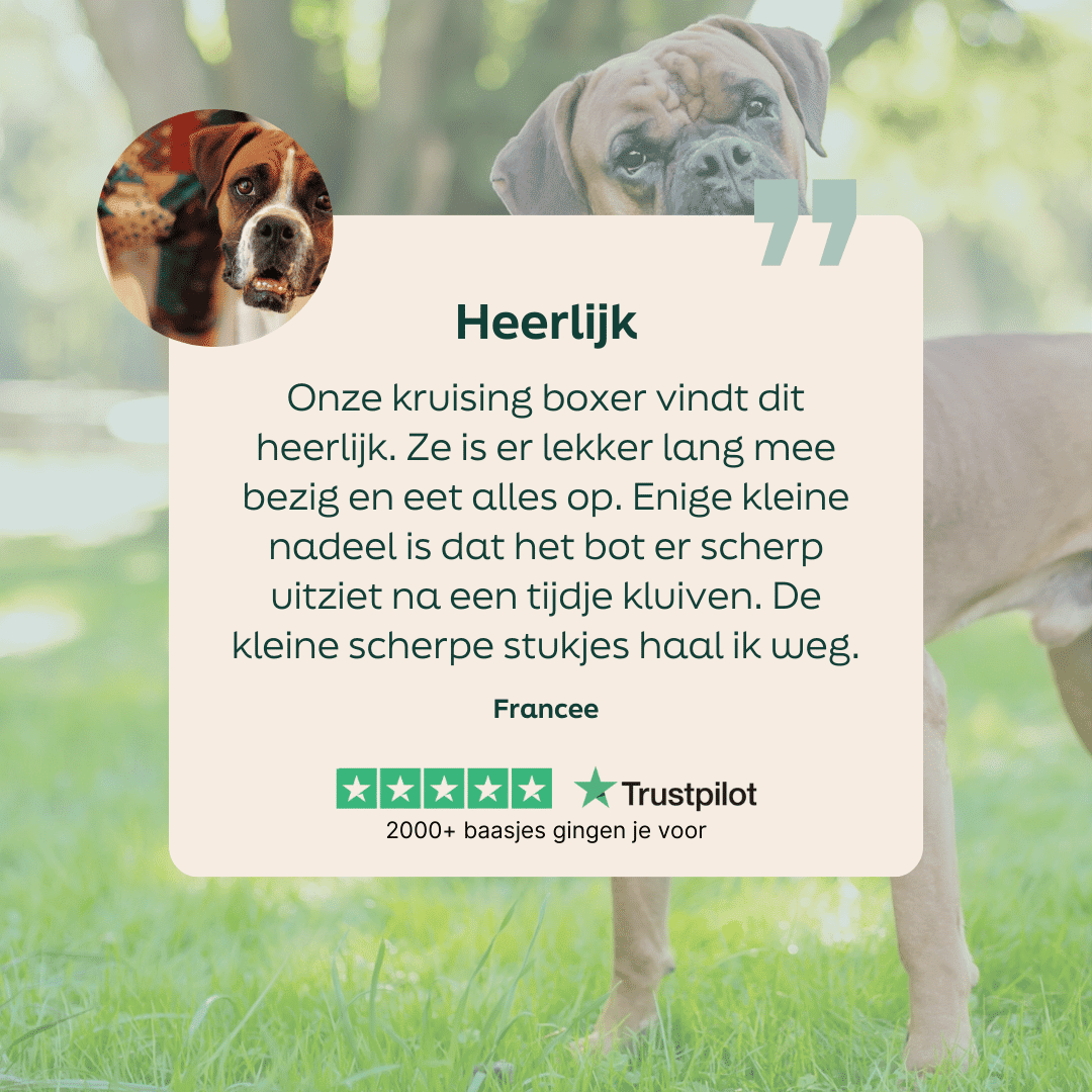 5 sterren review over WOOOF hertenpoot