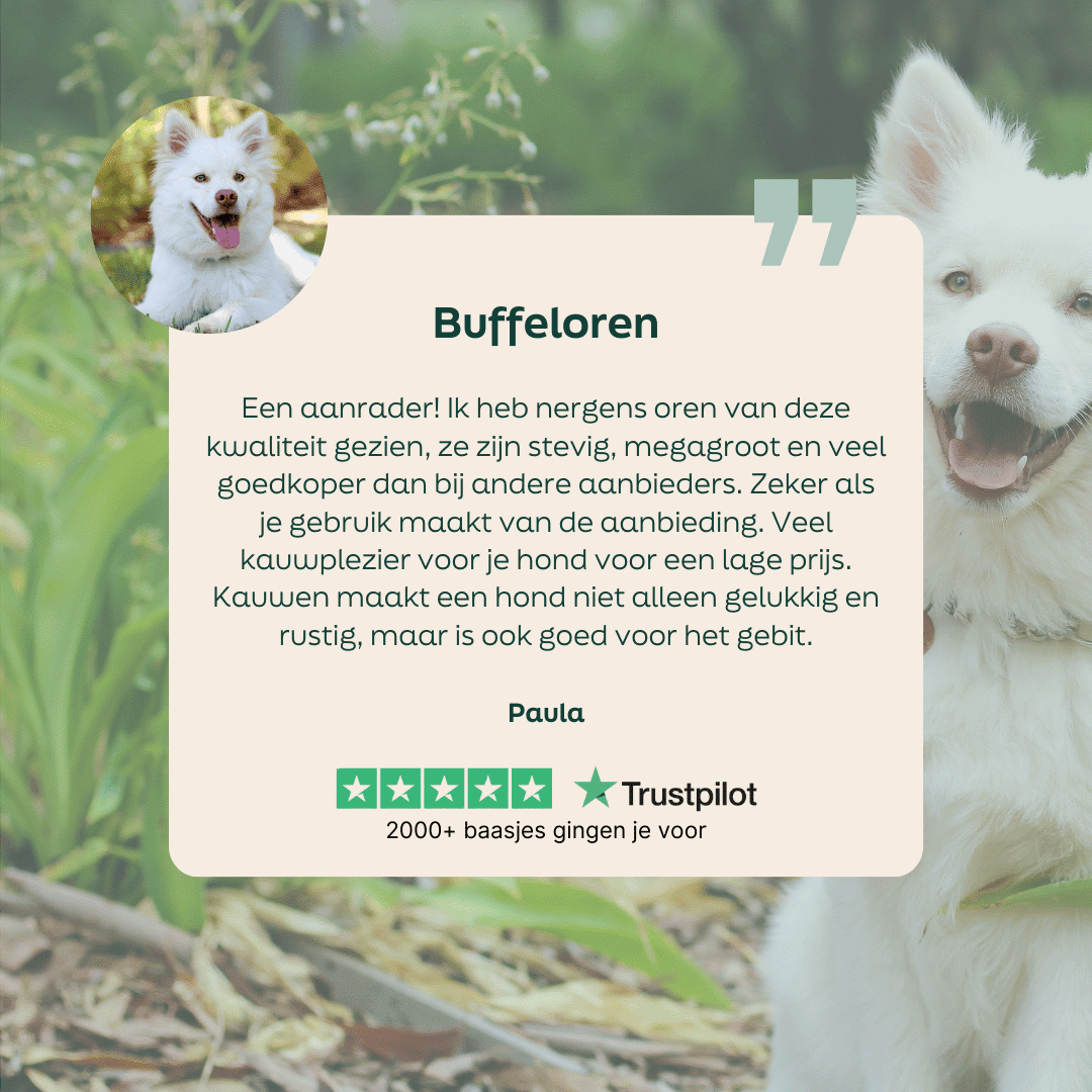 5 sterren review over WOOOF buffeloren