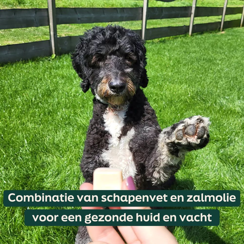 WOOOF schapenvet zalmolie bites voor een gezonde huid en vacht