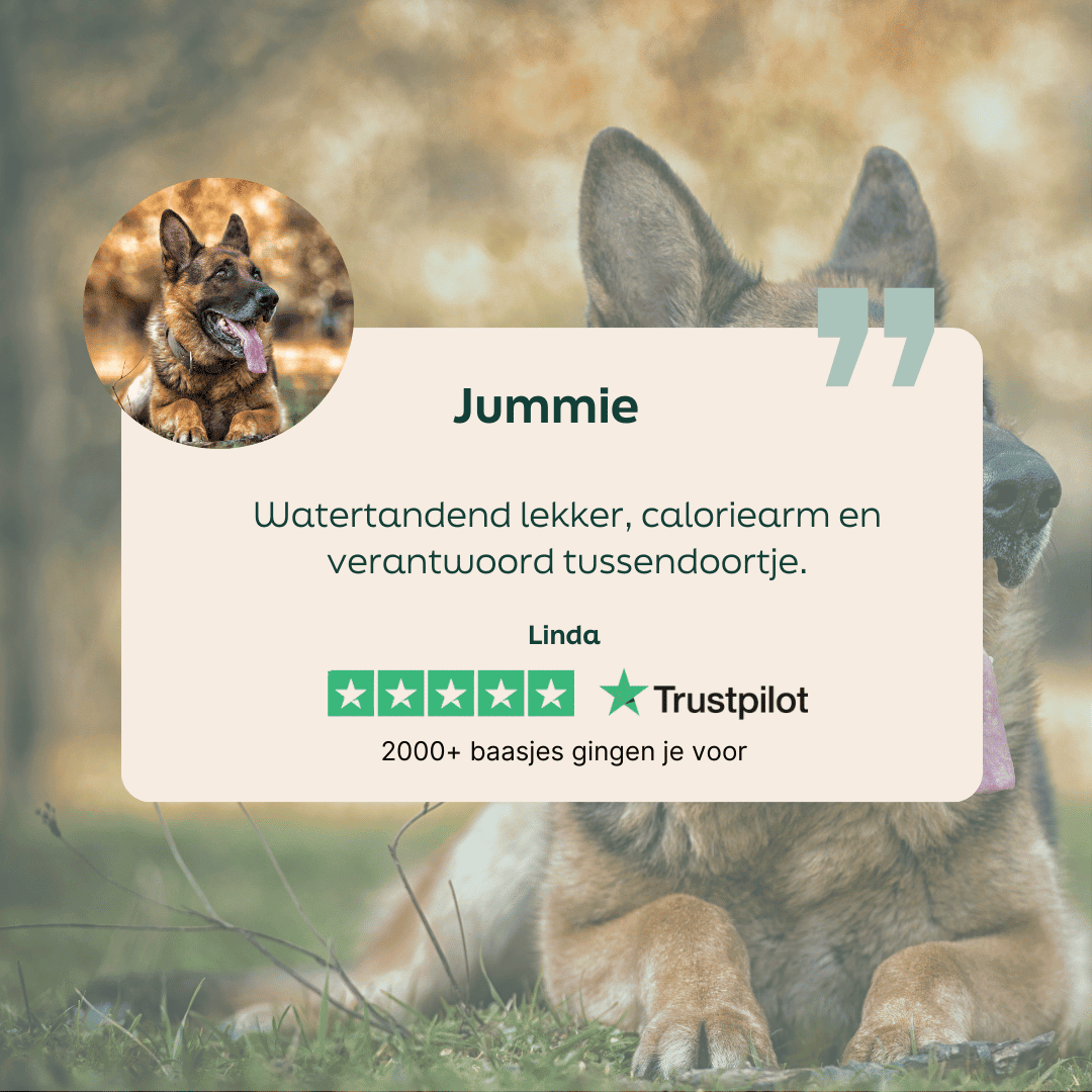 5 sterren review over WOOOF konijnen sticks