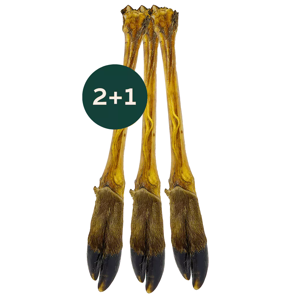 Hertenpoot 2+1 gratis