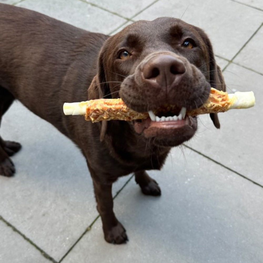 Chickentwister smaaktest met kantoorhond Hugo