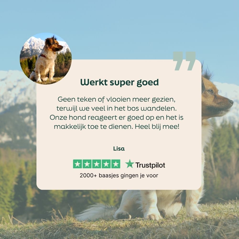 Review over vlooien en teken middel