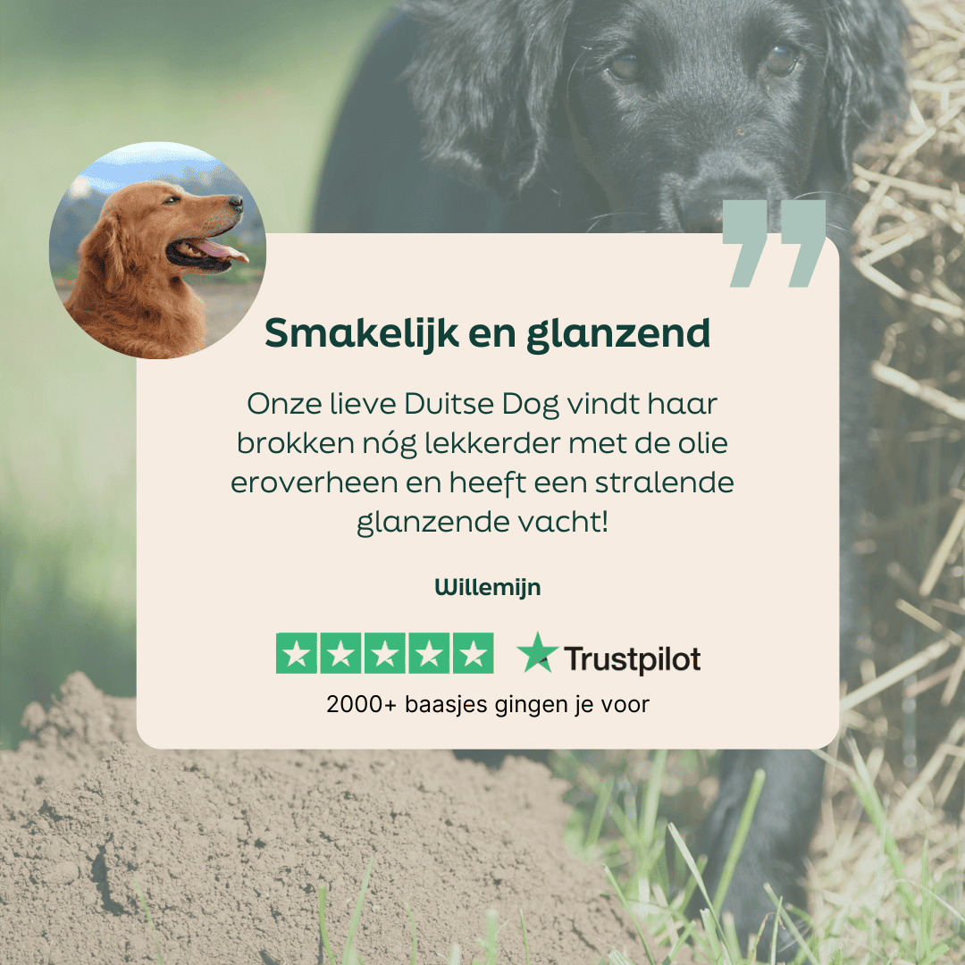 5 sterren review over WOOOF schapenvet met hennepzaadolie