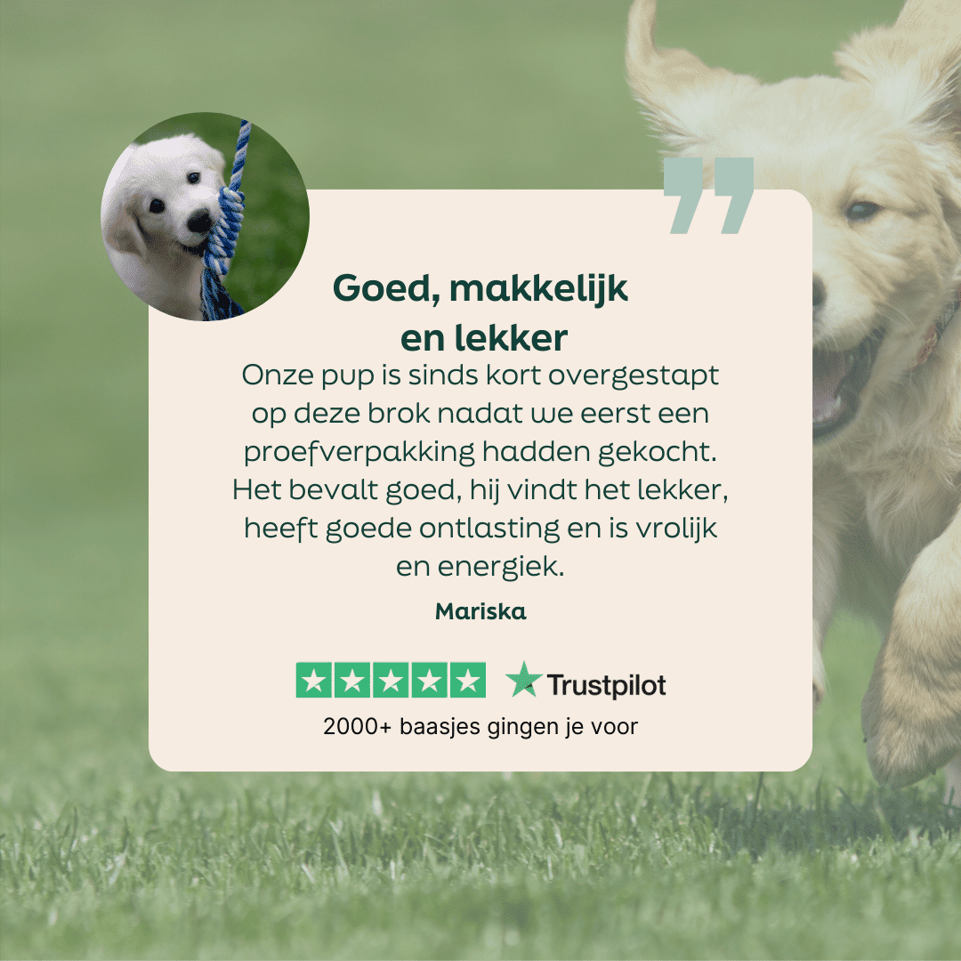 5 sterren review over WOOOF puppyvoer