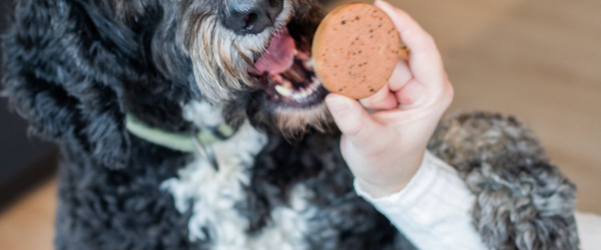 Kantoorhond eet en WOOOF worst