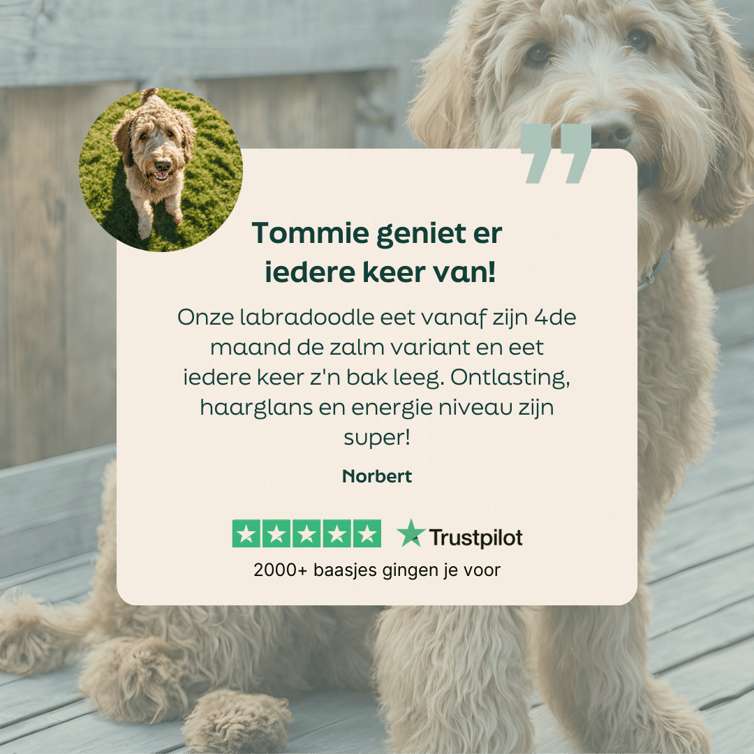5 sterren review over WOOOF zalm
