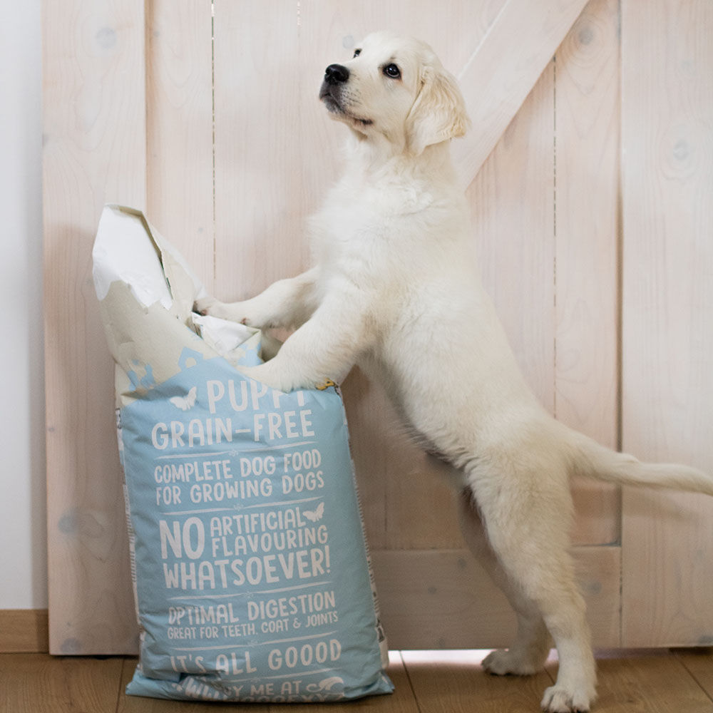Hond staat op een zak wooof puppy graanvrij hondenvoer