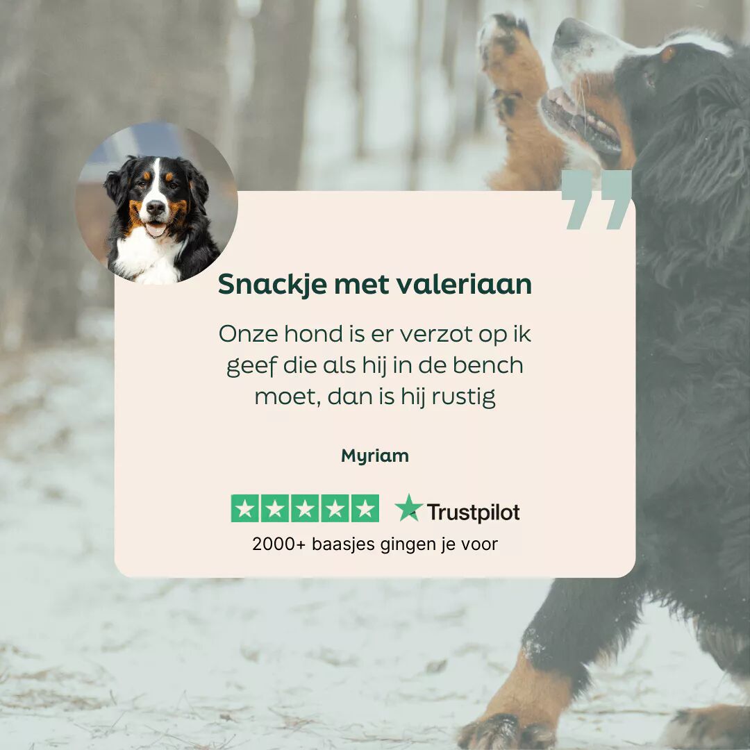 review over schapenvet met valeriaan bites