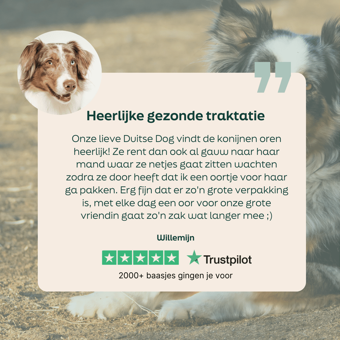 5 sterren review over WOOOF konijnenoren